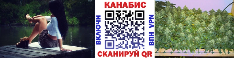 Шишки марихуана VHQ  Михайловск 